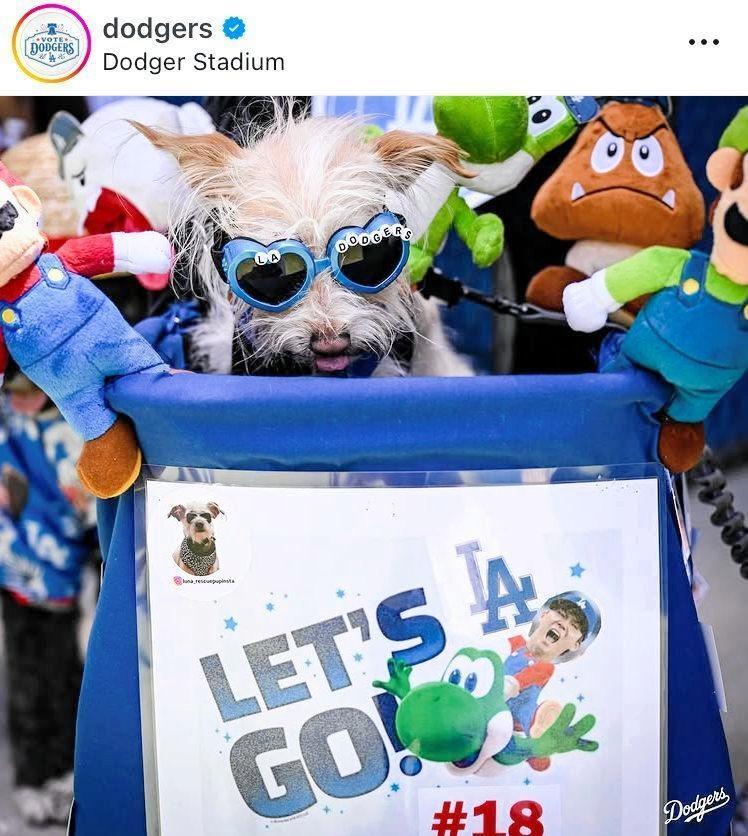 ドジャースの公式インスタグラム＠ｄｏｄｇｅｒｓより