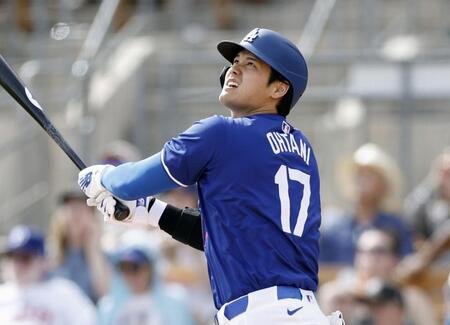 ドジャース・大谷翔平（提供・共同通信社）