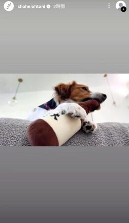 大谷翔平のインスタグラム（ｓｈｏｈｅｉｏｈｔａｎｉ）より