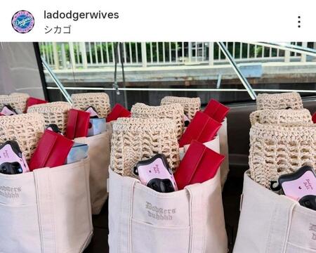 ドジャーワイブスのインスタグラム（ｌａｄｏｄｇｅｒｗｉｖｅｓ）より