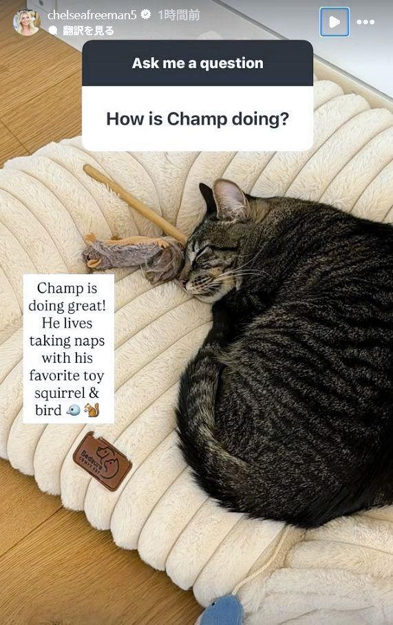フリーマンの妻・チェルシーさんのインスタグラム（ｃｈｅｌｓｅａｆｒｅｅｍａｎ５）より