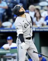　ロイヤルズ戦の１回、死球を受けたホワイトソックス・村上＝カンザスシティー（共同）