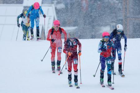 　山岳スキー女子スプリント予選で、力走する選手たち＝１９日、イタリア・ボルミオ（共同）