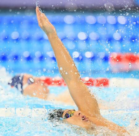 　世界記録保持者のマルシャン（奥）と泳ぐ瀬戸大也（撮影・吉澤敬太）
