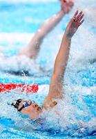 　背泳ぎで力泳する第１泳者の白井璃緒（共同）