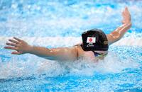　バタフライで力泳する第３泳者の平井瑞希（共同）