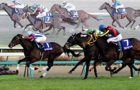 第５５回有馬記念を制した（１）ヴィクトワールピサ（奥）＝２０１０年１２月２６日、中山競馬場
