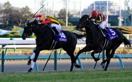 昨年の朝日杯ＦＳを制したロゴタイプ（左）＝１２年１２月１６日、中山競馬場（撮影・三好信也）