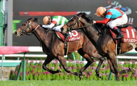 ワンアンドオンリーの猛追をハナ差しのいで弥生賞を制したトゥザワールド