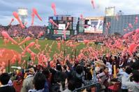 プロ野球の人気は再上昇。写真は２０１３年に日本一となった楽天のファン。