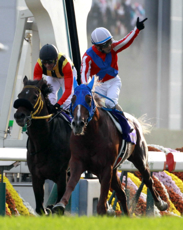 　菊花賞を制したトーホウジャッカル（右）＝京都競馬場