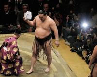 復活した大相撲人気「スージョ」も出現