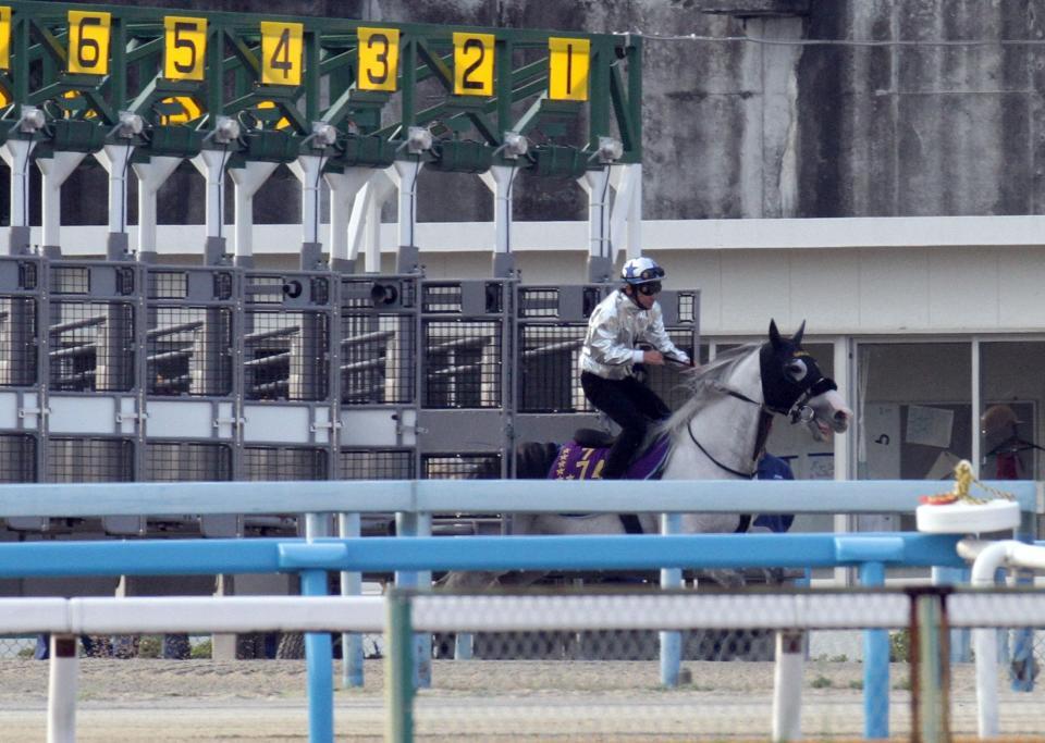 　ゴールシップは横山典弘騎手を背にゲート試験をあっさりクリアした