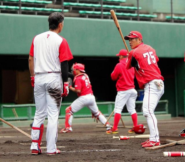 【野球】広島石井コーチ、素振りで改革