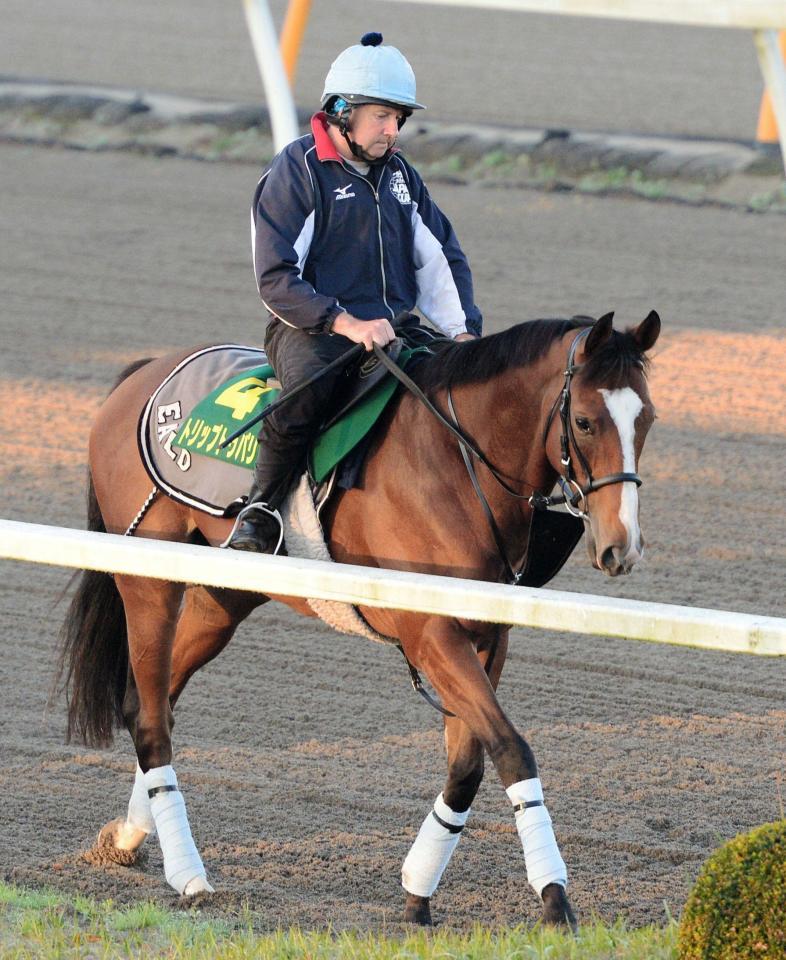 イギリスから参戦するトリップトゥパリス。母の父は00年のジャパンＣ３着馬ファンタスティックライトだ