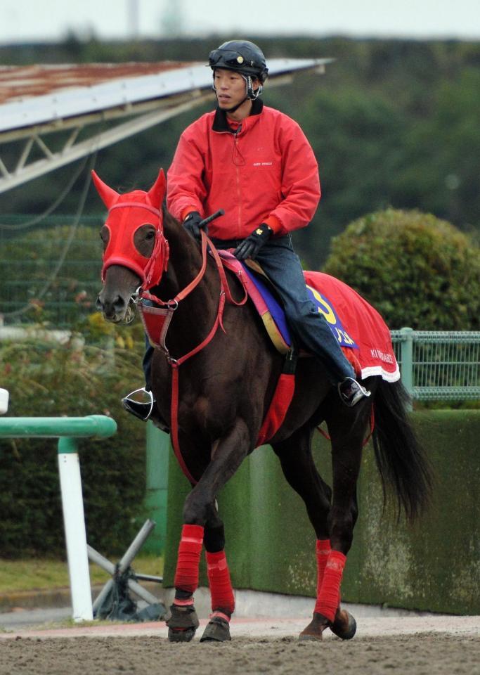 今週のチャンピオンズＣで新王者誕生を狙うノンコノユメも関東馬だ