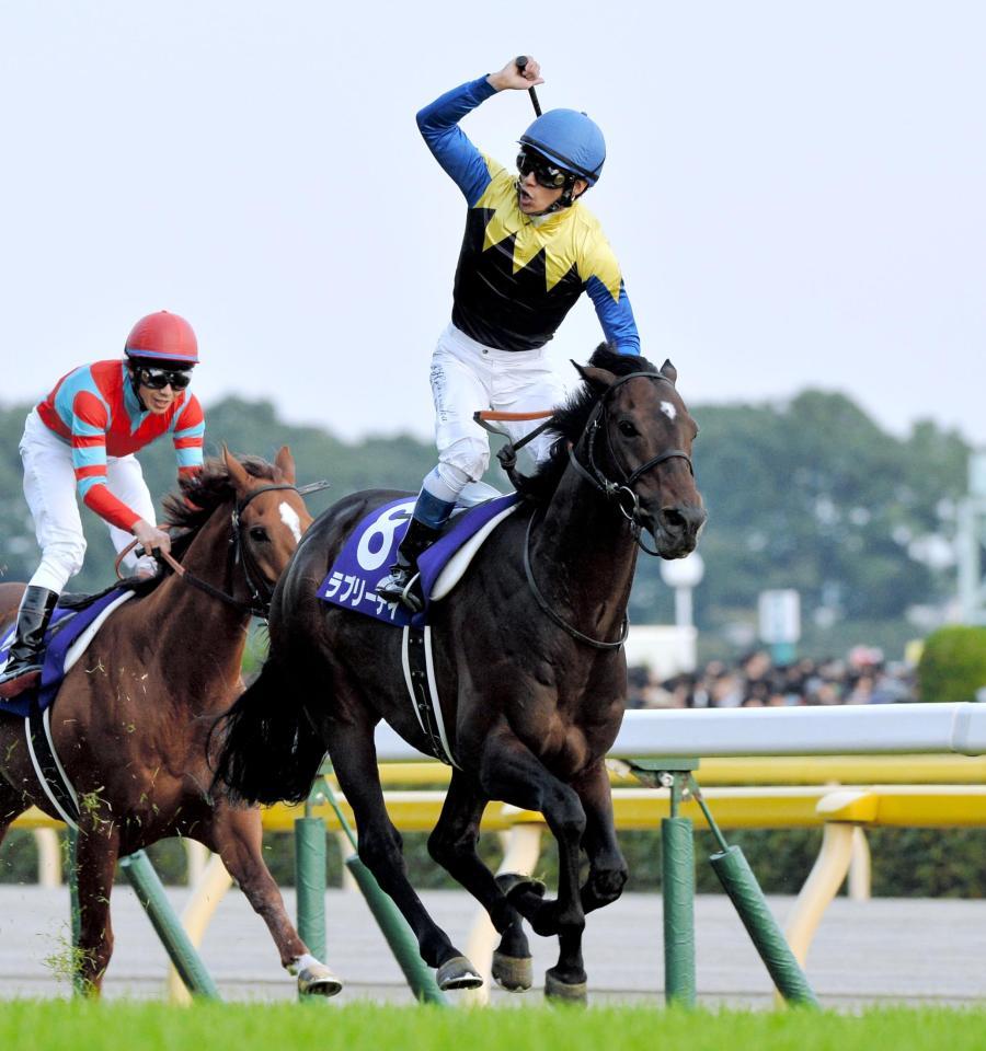 競馬 実使用ゼッケン GⅡ ラブリーデイ 競馬 実使用ゼッケン GⅡ ラブリーデイ ラブリーデイ（Lovely Day