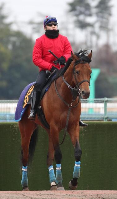 【レース】小牧場の星・ロードクエスト