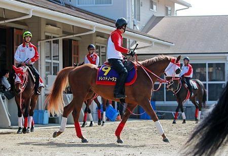 最内枠から一発を狙うドレッドノータス