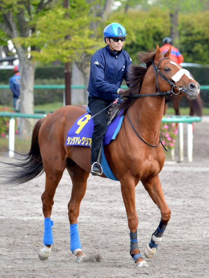 関東の名手とともに盾獲りを狙うタンタアレグリア