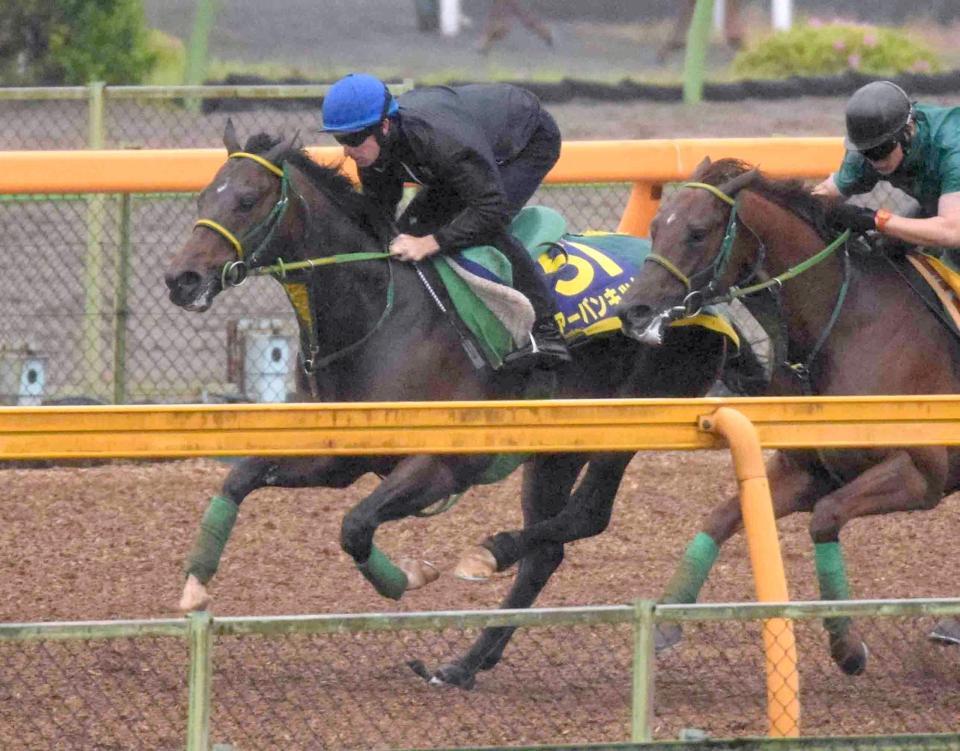 ボウマン騎乗のアーバンキッドが高速馬場で浮上する