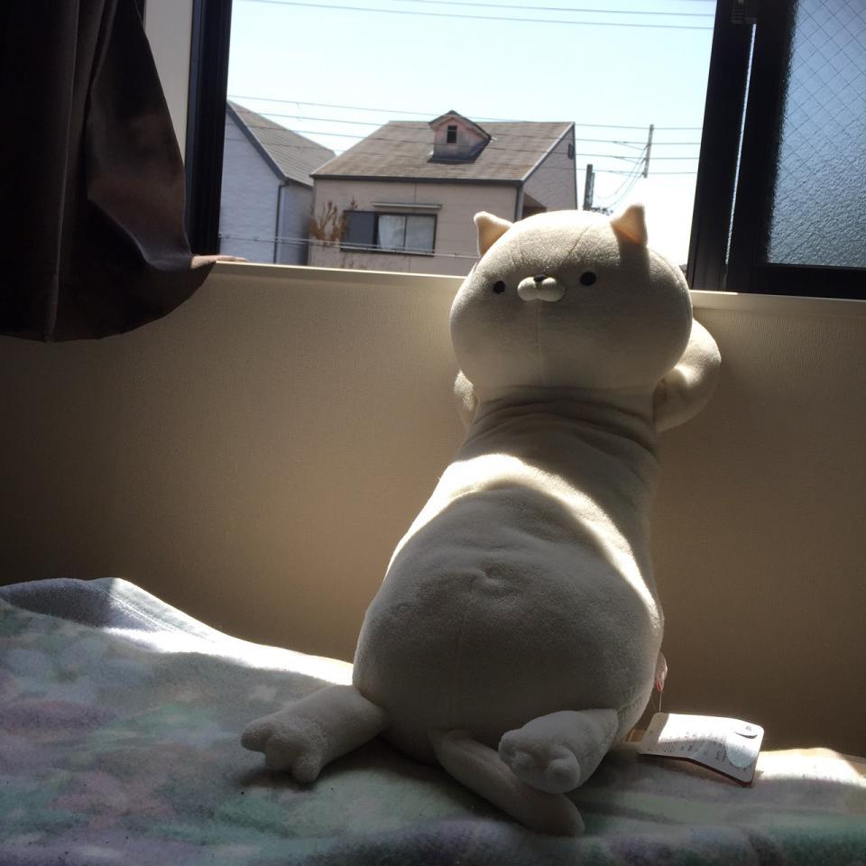 　ひそかなブームを呼んでいる「おかえり園田くん」