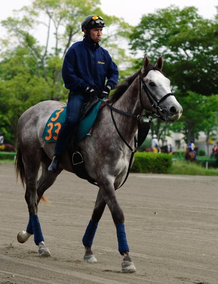 五郎丸の親友が馬主のゴロウマルウィン。もちろん本人公認の馬名だ＝美浦トレセン