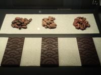 　原産地のカカオ豆とともにディスプレイされる「ＩＣＨＩＪＩ」のビーン・トゥ・バーチョコレート