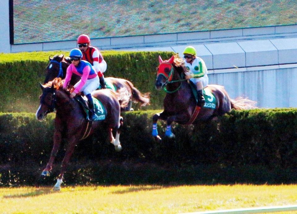 ニホンピロバロン（右）