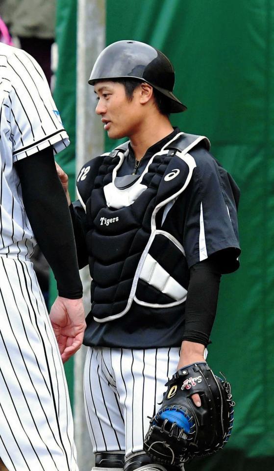 履正社ＯＢの阪神・坂本誠志郎捕手