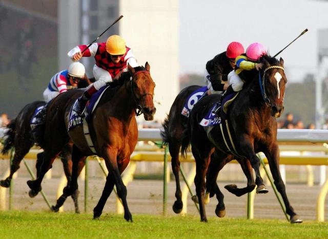 ＪＲＡが欧州で日本競馬を猛アピール　再びジャパンＣに強豪外国馬が参戦するか