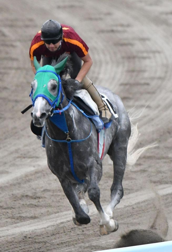 この夏、一気に３連勝を決めたテイエムジンソク