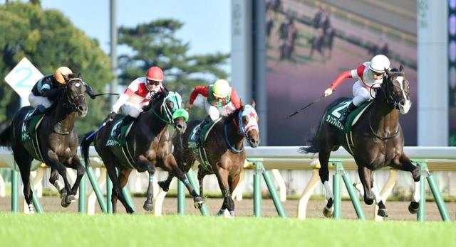 【競馬】高速化が進む日本競馬　芝育成技術の進歩とファンの誤解