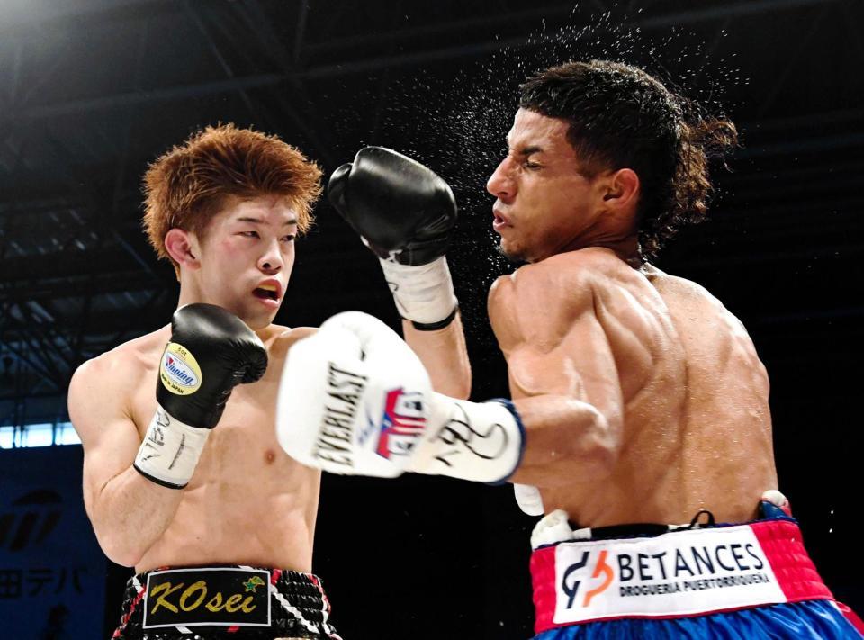 ５月に行われた田中恒成（左）とアコスタのＷＢＯ世界ライトフライ級王座戦＝５月２０日、武田テバオーシャンアリーナ