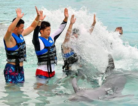 イルカに水をかけられる（左から）中村祐、岡田、野村