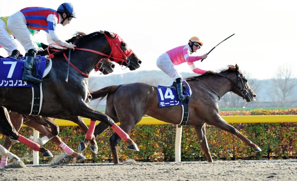 １６年フェブラリーＳをレコードで制したモーニン（右）。芝挑戦での復活が期待される