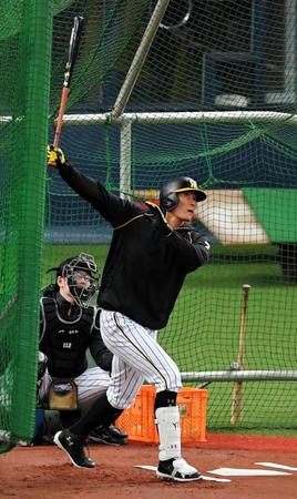 試合前の練習でフリー打撃をする阪神・糸井