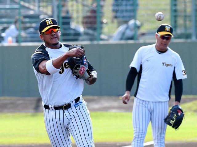 【野球】阪神　大山ＶＳマルテ　サード定位置争いバチバチ　３日連続早出特守でアピール合戦