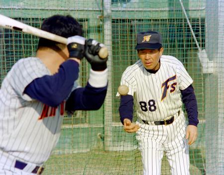 春季キャンプの打撃練習でトスをあげる日本ハム・上田監督＝１９９５年２月９日