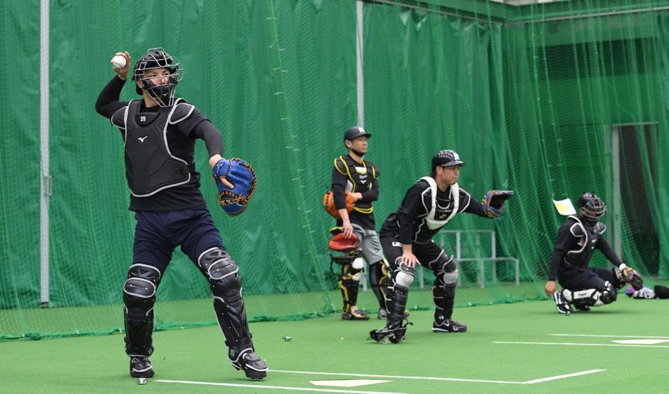 ルーキー栄枝（左）も加わり、し烈な正捕手争いが繰り広げられるか