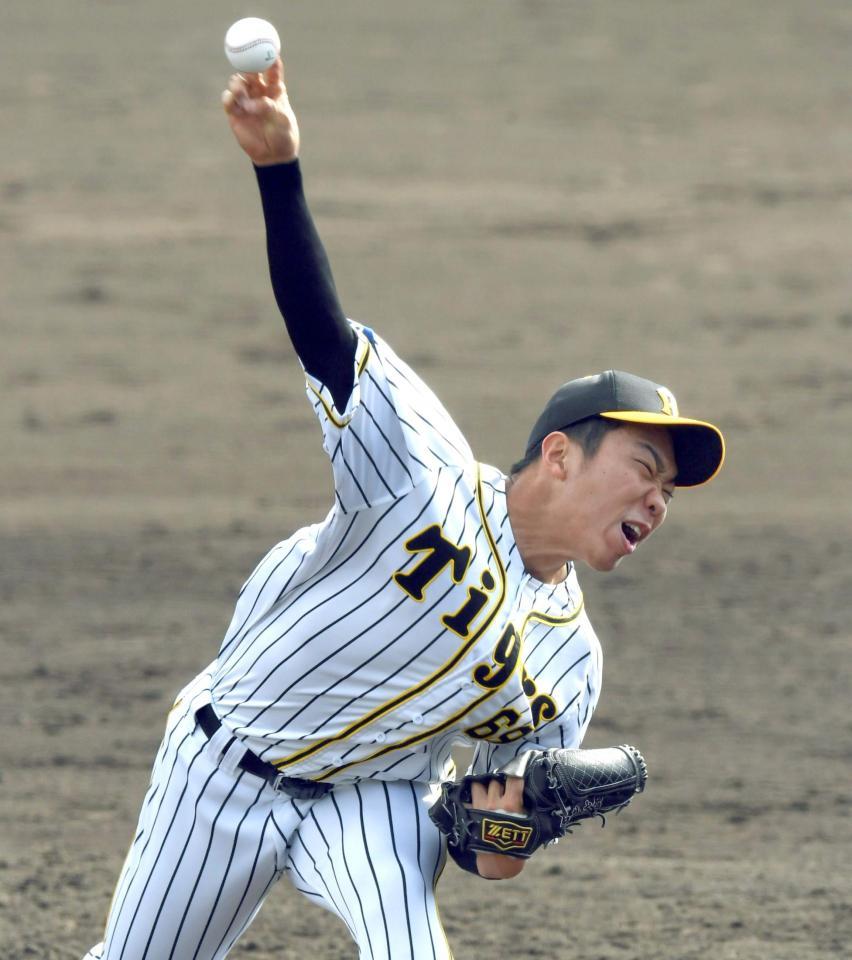 　キャンプで存在感を見せた阪神・石井大