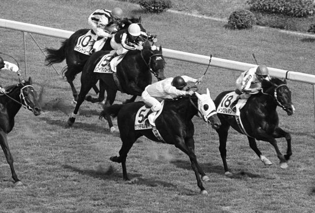 競馬】88年ダービーで勇姿を見せたあの馬/オピニオンD/デイリー