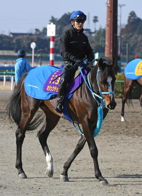 【競馬】11歳にしてまだまだ元気いっぱい　オジュウは今年も跳ぶ！