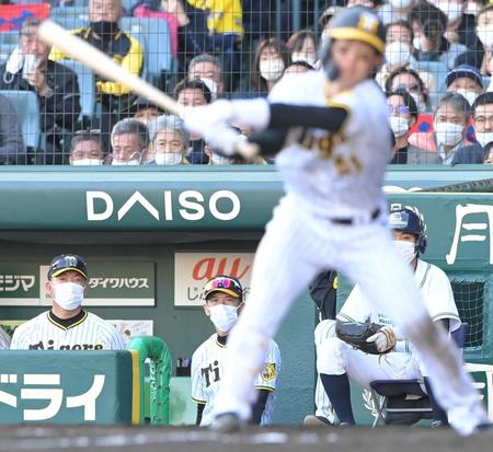 　９回、最後の打者となった中野（手前）の三振を見つめる矢野監督（中央）＝１７日