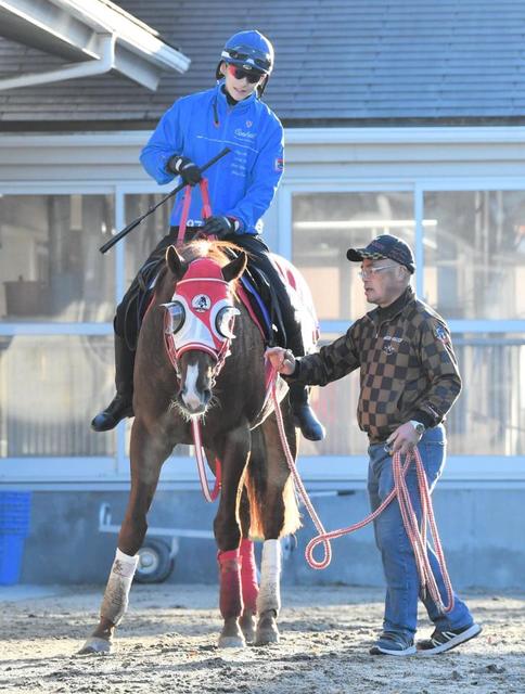 競馬】ホウオウアマゾンとパンサラッサで“勝負の6月”に挑む大ベテラン