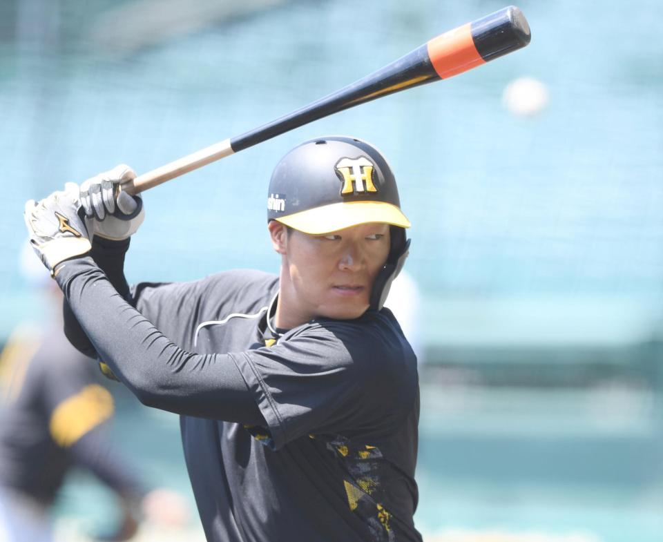 打撃練習をする阪神・大山悠輔＝甲子園（撮影・田中太一）