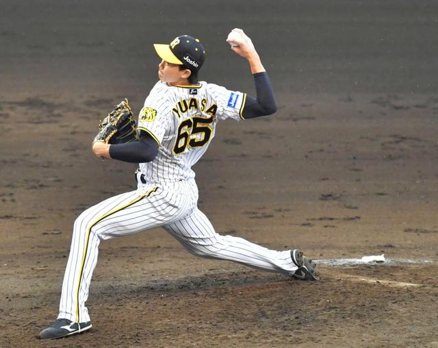 【野球】阪神・湯浅　進化の理由は数センチの変化　プレート位置を三塁側へ変え「八回の男」定着
