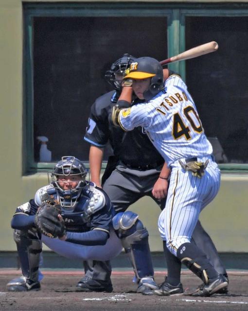 【野球】阪神2軍 ドラ3ルーキー・井坪 ウエスタン打率トップの秘密