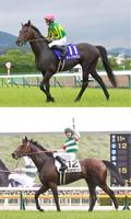（上）１７年の宝塚記念を制したサトノクラウン　（下）今年のダービー馬・タスティエーラ