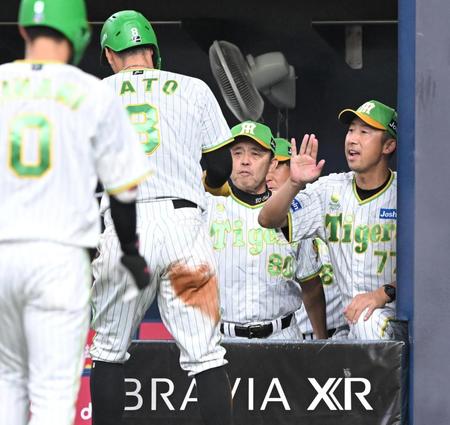 　６回、同点のホームを踏んだ佐藤輝（８）を出迎える岡田監督ら（撮影・高部洋祐）